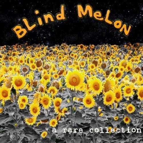 walk lyrics blind melon